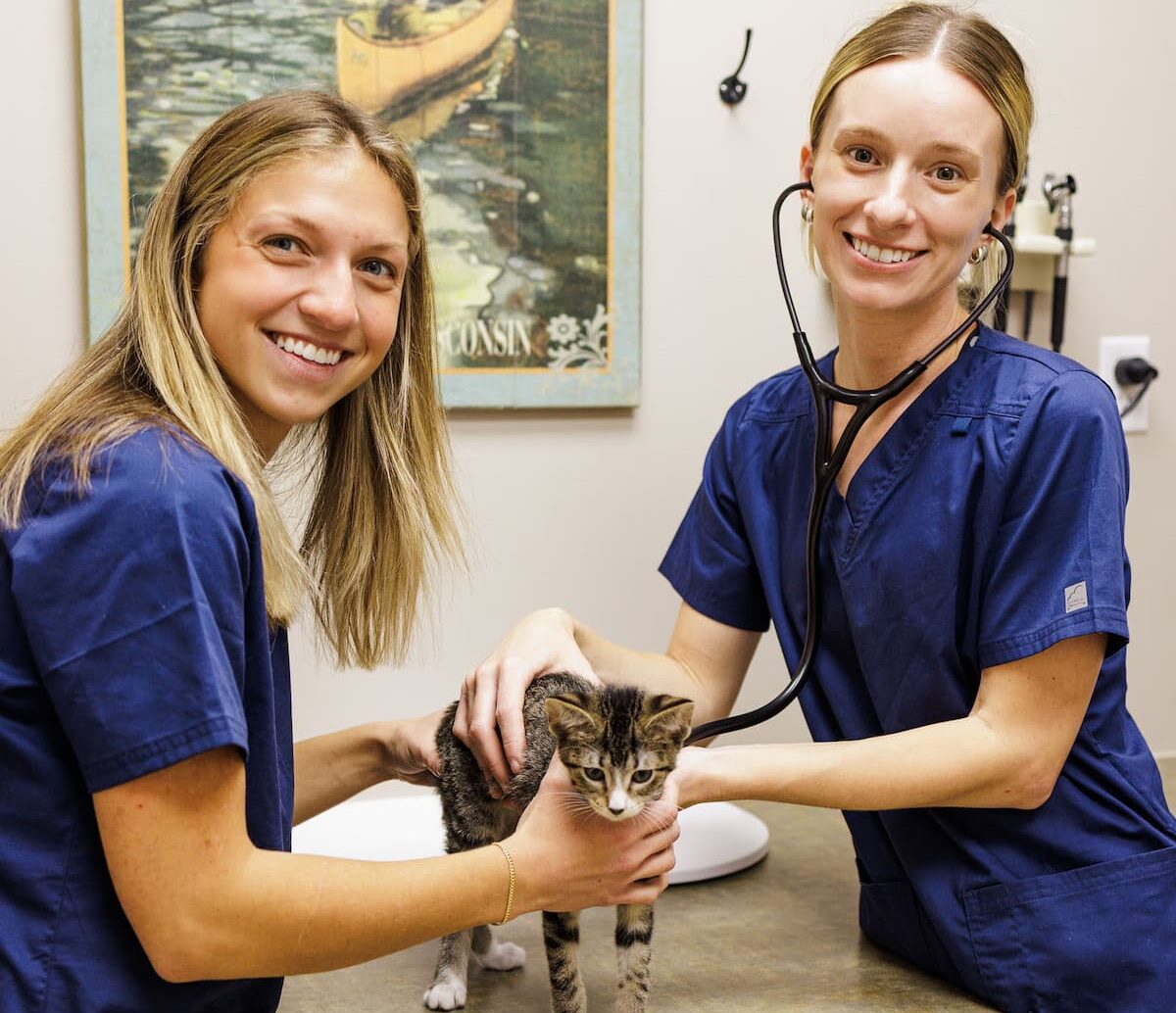 Dental Services Image